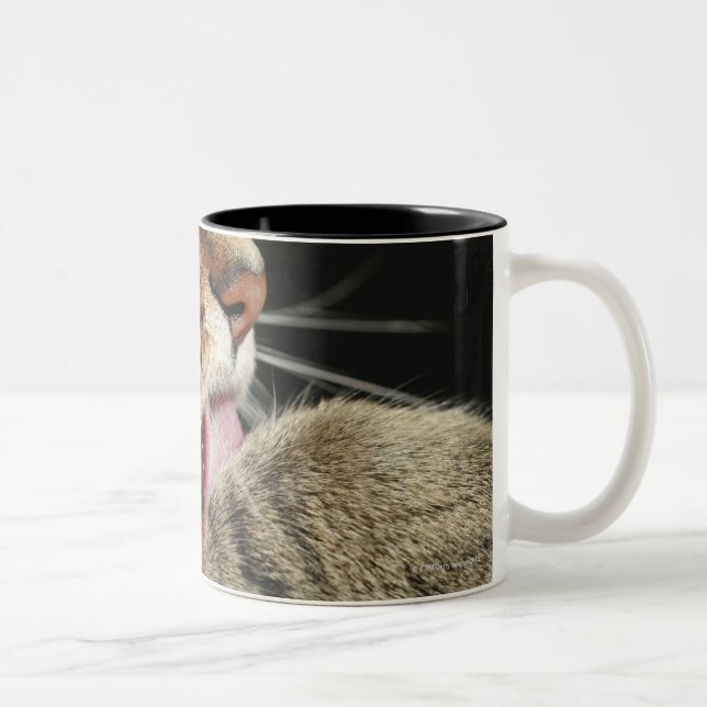 Tasse 2 Couleurs Un chat tigré léchant sa patte (Droit)