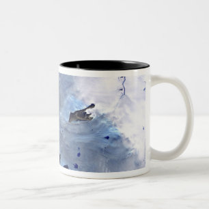 Tasse 2 Couleurs Un petit champ des glaciers entoure la baie de