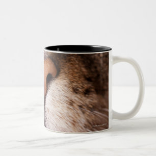 Tasse 2 Couleurs Une macro image du nez et de la bouche d'un chat