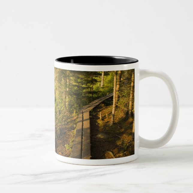 Tasse 2 Couleurs Une promenade en bois dans le parc national Acadia (Droit)