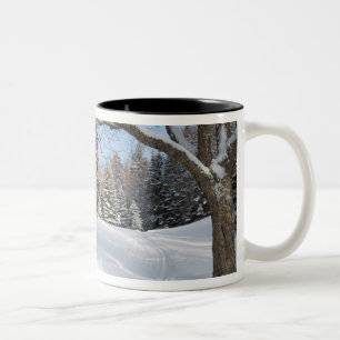 Tasse 2 Couleurs Une scène enneigée à l'étang Little Lyford de l'AM