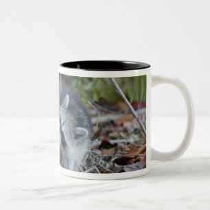 Tasse 2 Couleurs USA, Floride, Sanibel, Ding Darling National