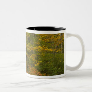 Tasse 2 Couleurs USA, New Hampshire, Livermore, White Mountain