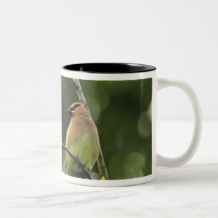 Tasse 2 Couleurs USA, Oregon, Portland. Jaseur d'Amérique mâle