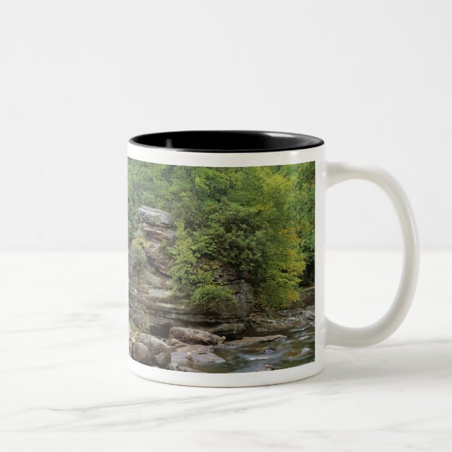 Tasse 2 Couleurs USA, Virginie-Occidentale, Babcock SP. Glade rusti (Droit)