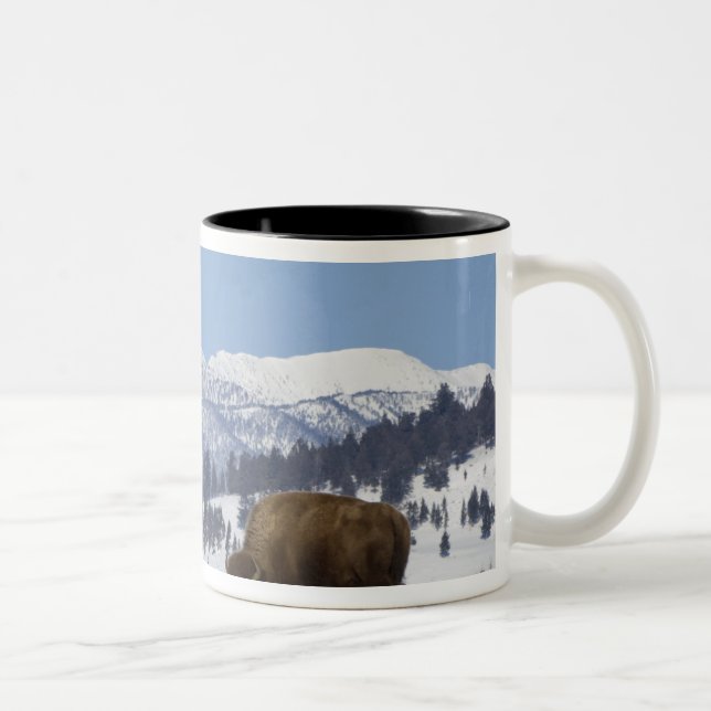 Tasse 2 Couleurs USA, WY, Yellowstone NP, American Bison Bison (Droit)