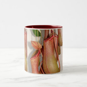 Tasse 2 Couleurs Usine de broc