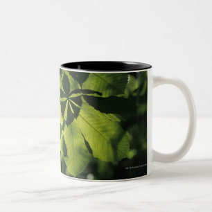 Tasse 2 Couleurs Vert sept feuilles de point avec l'illumination de