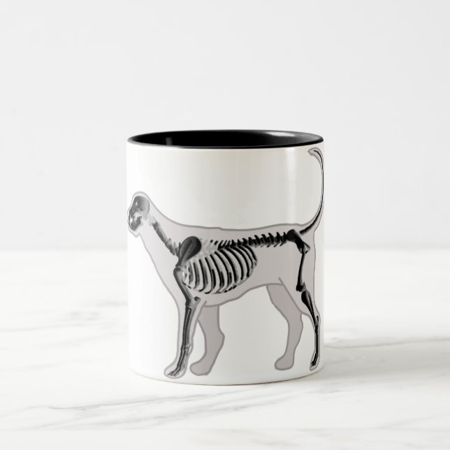 TASSE 2 COULEURS VÉTÉRINAIRE DE RAYON X D'ANATOMIE DE CHIEN (Centre)