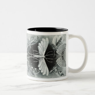 Tasse 2 Couleurs Vintage Haeckel Moth
