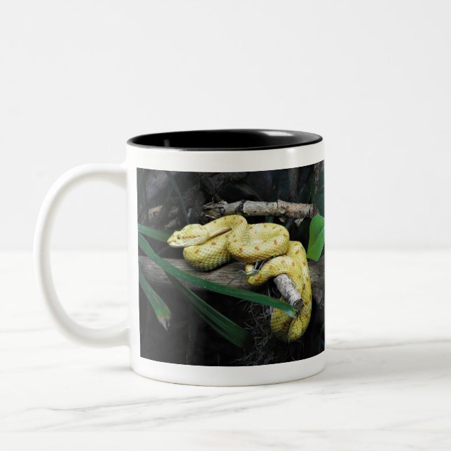 Tasse 2 Couleurs Vipère de cil (Gauche)