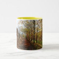 Voie Jersey en automne