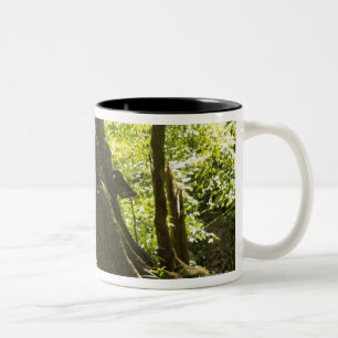 Tasse 2 Couleurs vue de forêt tropicale, Dominique