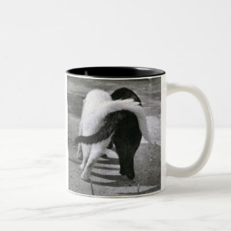 Tasse 2 Couleurs w7ij4i [1]