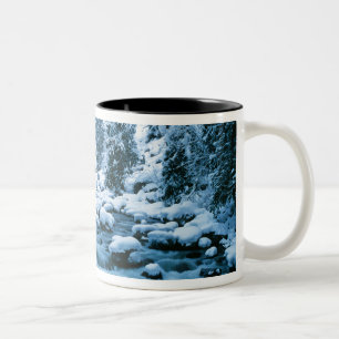 Tasse 2 Couleurs WA, forêt nationale de Wenatchee, Cascade