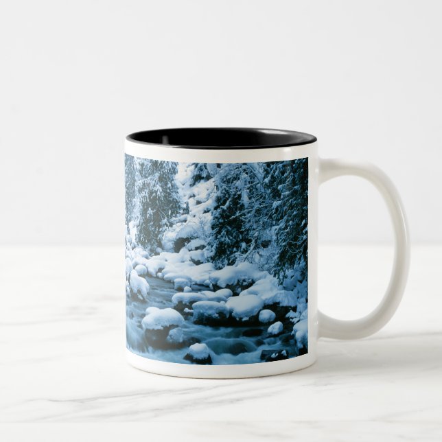 Tasse 2 Couleurs WA, Wenatchee National Forest, Cascade (Droit)