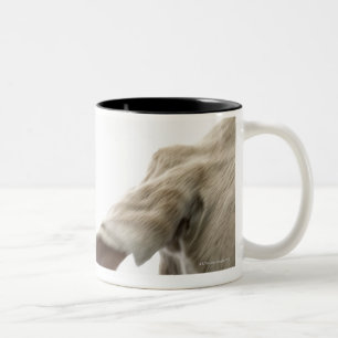 Tasse 2 Couleurs Weimaraner 2