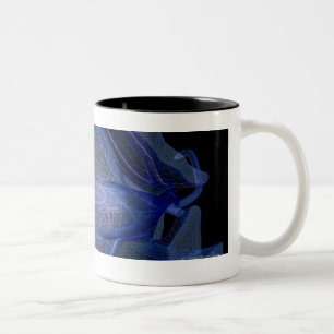 Tasse 2 Couleurs wireframe 3d des muscles d'oeil dans une orbite