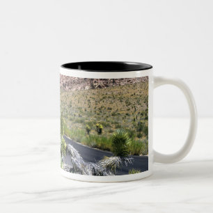 Tasse 2 Couleurs Zone nationale de conservation de Red Rock Canyon,
