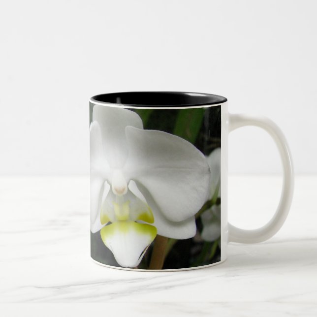 Tasse 2 d'orchidée (Droit)