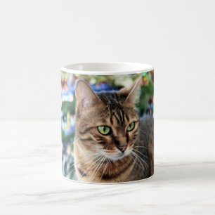 Tasse 325ml blanche classique blanche de beau chat