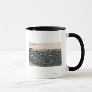 Tasse 5000 moutons prêts pour l'expéditionChester, MT