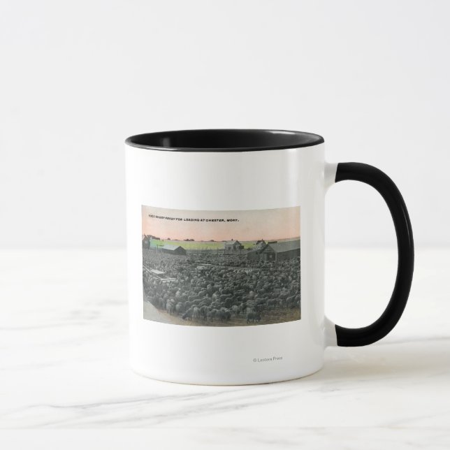 Tasse 5000 moutons prêts pour l'expéditionChester, MT (Droite)