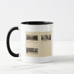 Tasse 73941 Albany