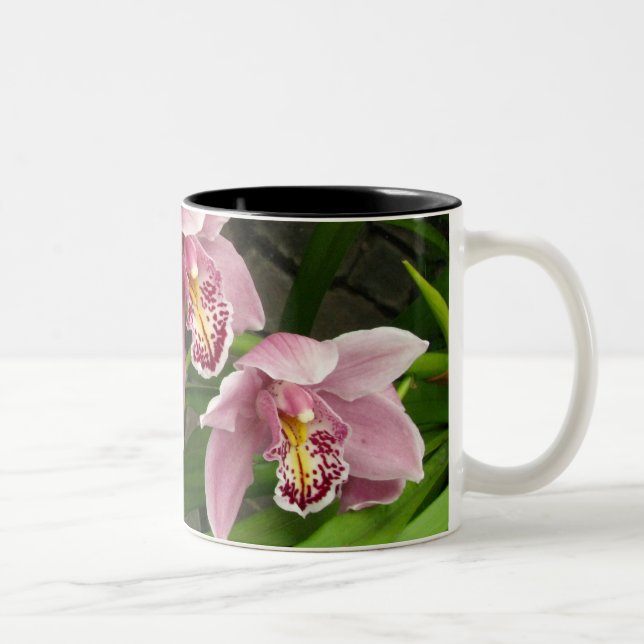 Tasse 8 d'orchidée (Droit)