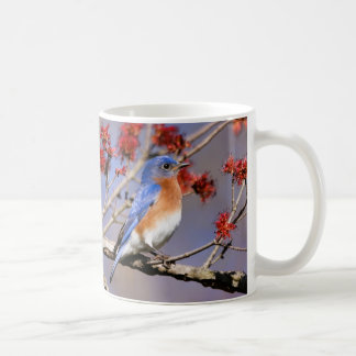Tasse à café Bluebirds III par BirdingCollectibles