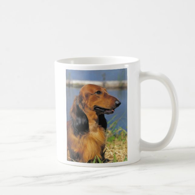 tasse à cheveux longs rouge de teckel (Droite)
