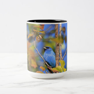 Tasse à deux tons avec photo de bouts indigo