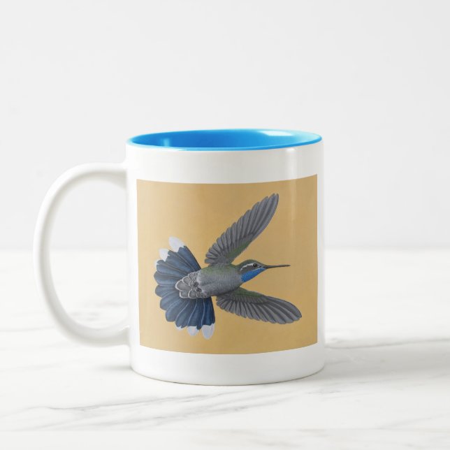 tasse à deux tons de colibri Bleu-throated (Gauche)