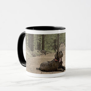 Tasse Adorable Labrador Retriever Puppy On Forest Trail