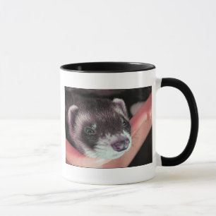 Tasse Adorable Sable Ferret Photo