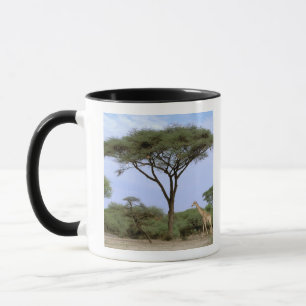 Tasse Afrique, Botswana, delta de l'Okavango. Sud