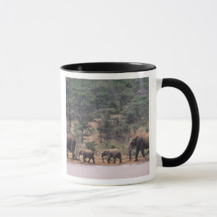 Tasse Afrique, Kenya, Nanyuki, Mpala. Africains