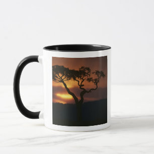 Tasse Afrique, Kenya, Réserve de Masai Mara, Cadre