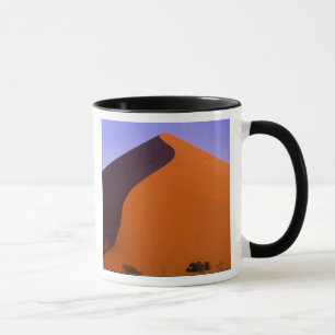 Tasse Afrique, Namibie, Parc national du Namib, Sossusvl