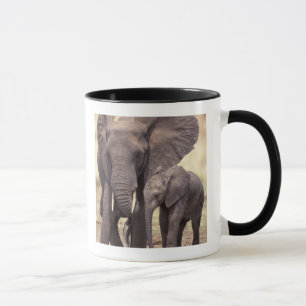 Tasse Afrique, Tanzanie, Parc national de Tarangire. 2