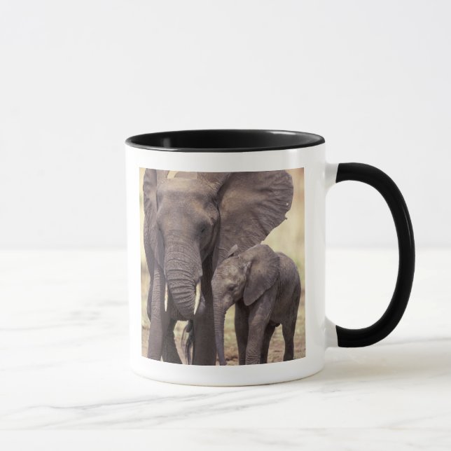 Tasse Afrique, Tanzanie, Parc national de Tarangire. 2 (Droite)