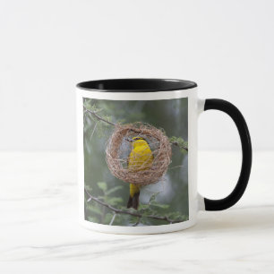 Tasse Afrique. Tanzanie. Tisserin à cou noir femelle