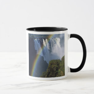 Tasse Afrique, Zimbabwe, chutes Victoria