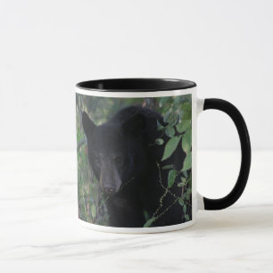 Tasse Aide seul sauver un congé d'ours il