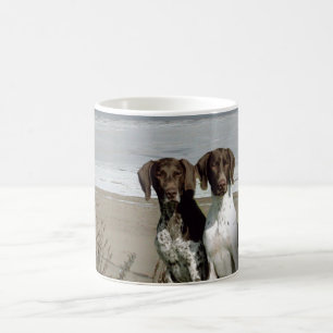 Tasse allemande d'indicateur aux cheveux courts