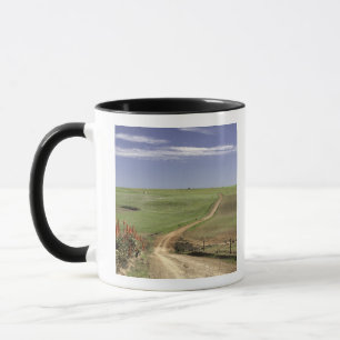 Tasse Aloès fleurissant près de Caledon, le