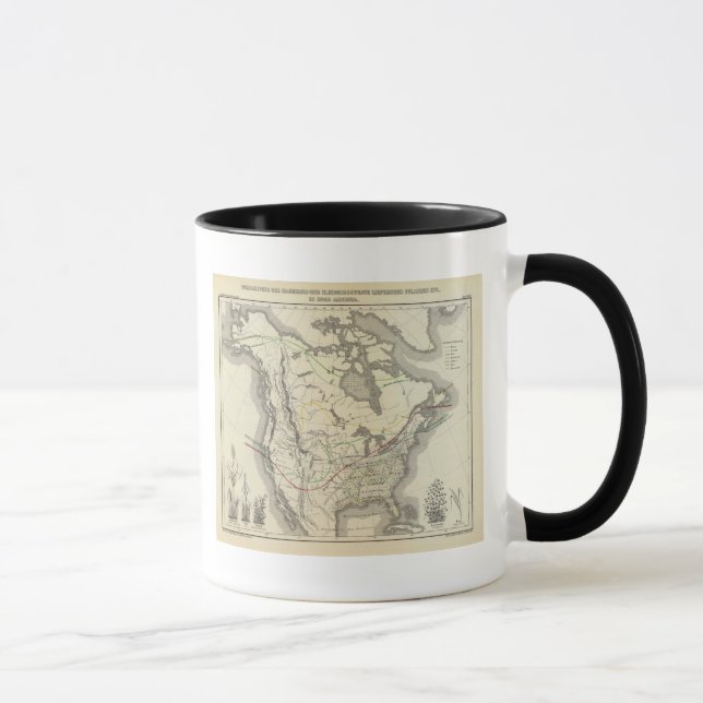 Tasse Amérique du Nord 11 (Droite)