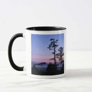 Tasse Amérique du Nord, Canada, île de Vancouver, arbres