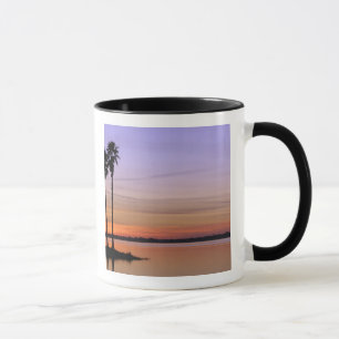 Tasse Amérique du Nord, États-Unis, Floride, Mt. Dora, u