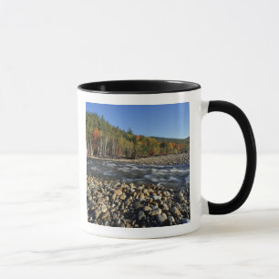 Tasse Amérique du Nord, États-Unis, NH, Une plage de gal